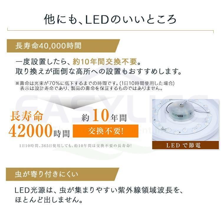 12畳