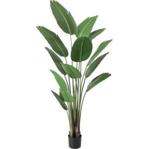 5営業日で発送 造花 グリーン 人工樹木 トラベラーズパーム グリーン GLP-1552GR GLP-1552GR