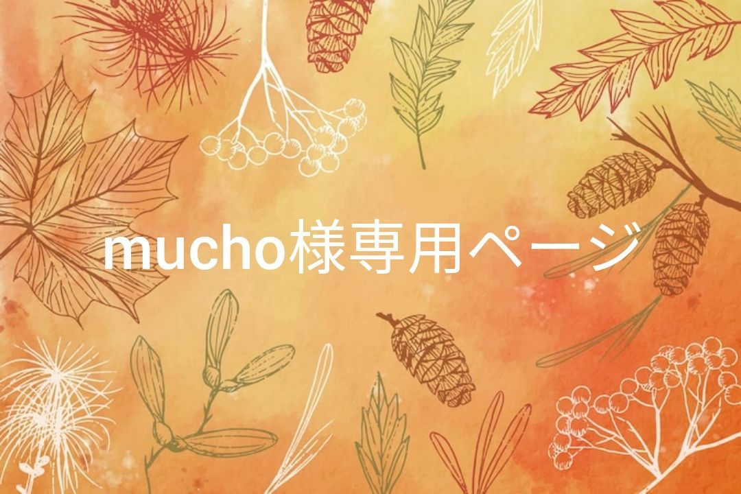 mico様 専用ページ mico♡様専用ページ mico様専用 micoさま専用