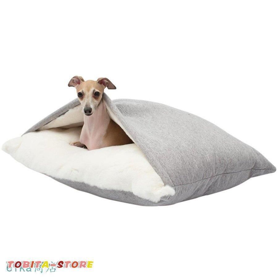 犬 猫