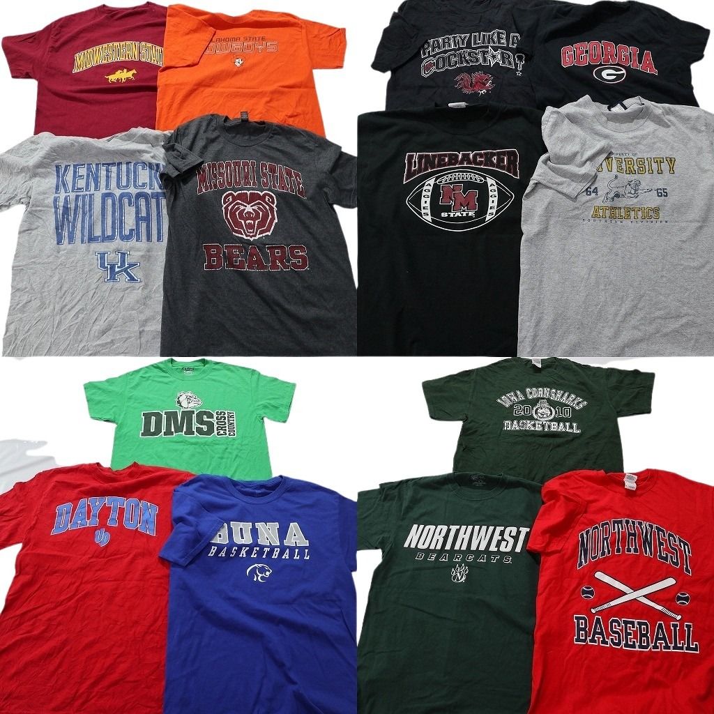 古着卸 まとめ売り カレッジ風 半袖Tシャツ 14枚セット (メンズ Ｍ ) チームロゴ ケンタッキー アーチロゴ ベアーズ 中古 古着 NA9170