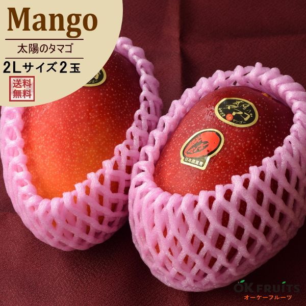 母の日 プレゼント プチカーネーション＆健康茶付き サプライズ ギフト マンゴー 太陽のタマゴ 大玉2Lサイズ×2玉入 化粧箱入り 贈り物 宮崎県産 太陽のタマゴ2L 大玉 2玉