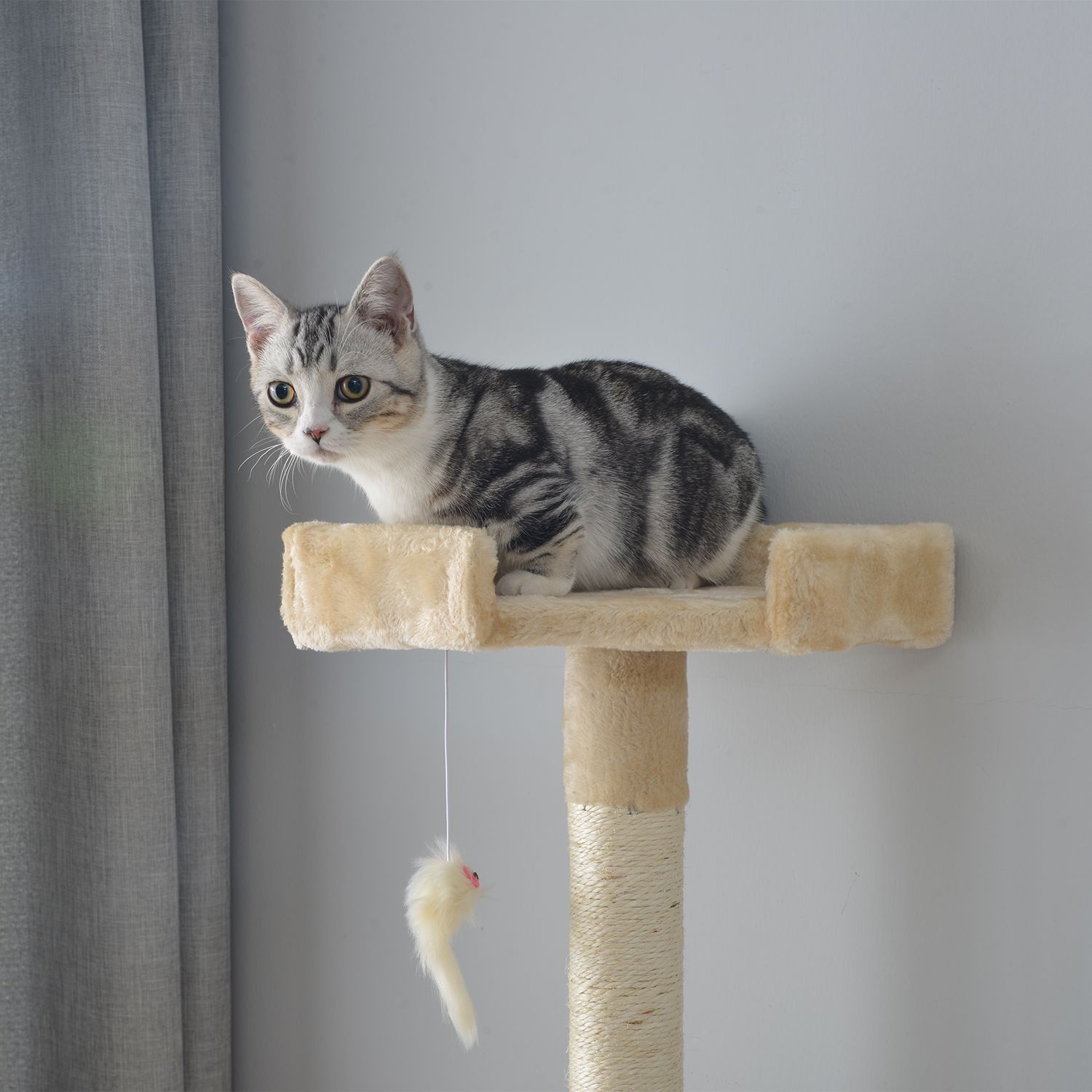 多頭飼い対応 ベージュ