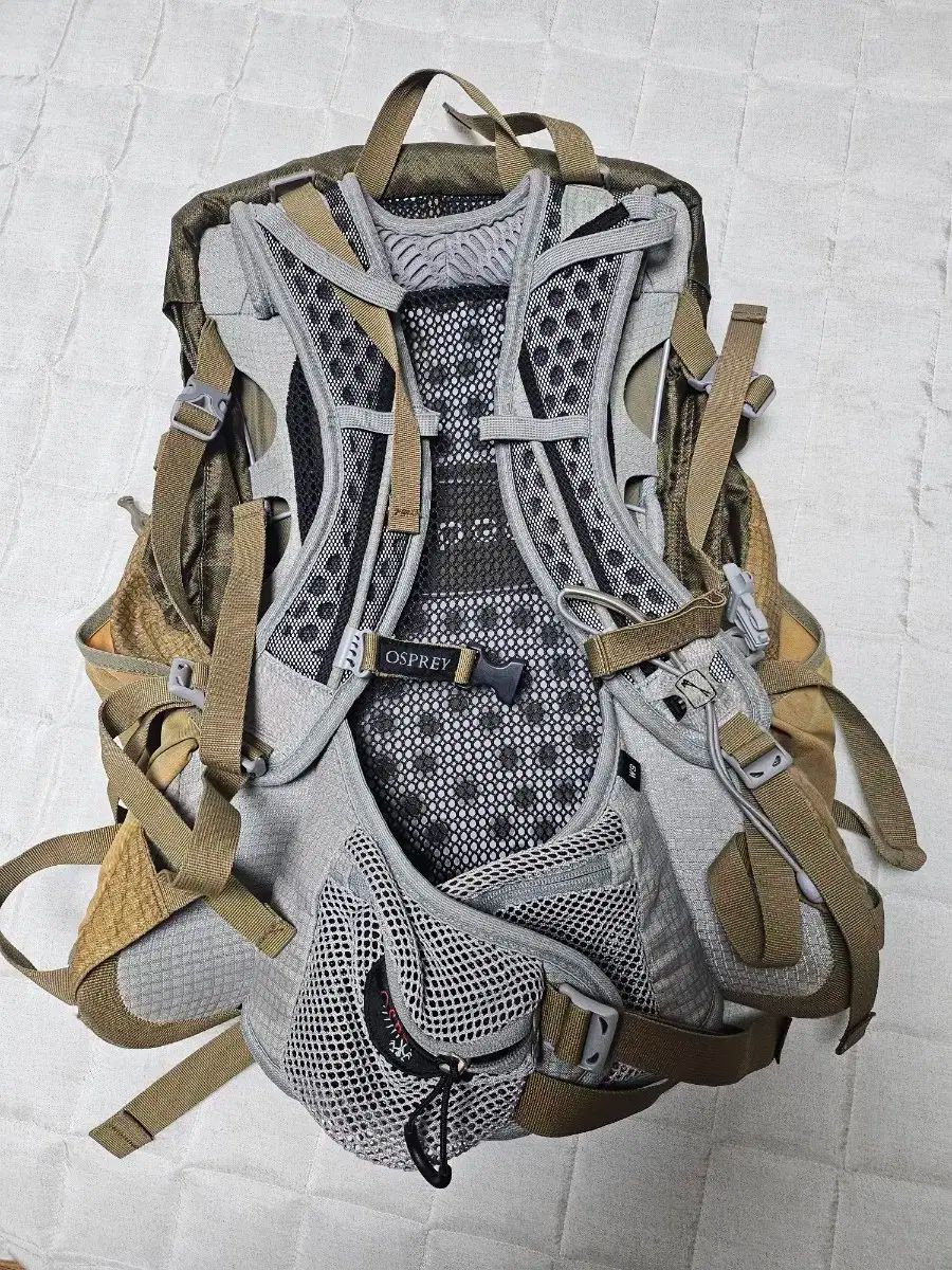 オスプレイ OSPREY 登山 リュックサック 25 レディース