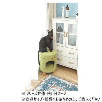 東谷