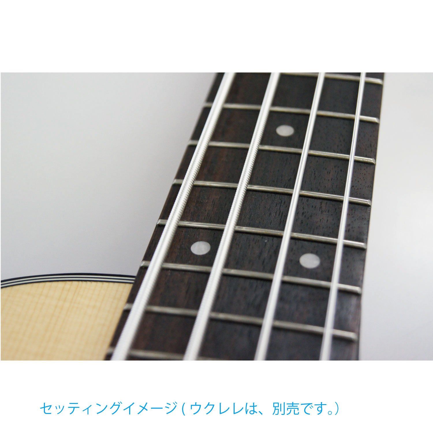 KA-BASS4 U-BASS