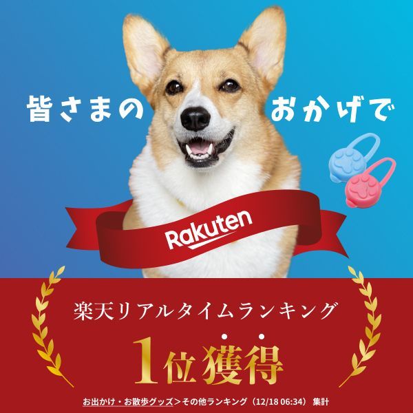 【ランキング1位獲得】犬 散歩 ライト 首輪 ハーネス グッズ 夜 LED 安心 安全 点灯 電池交換 リチウム電池 小型犬 7色 シリコン