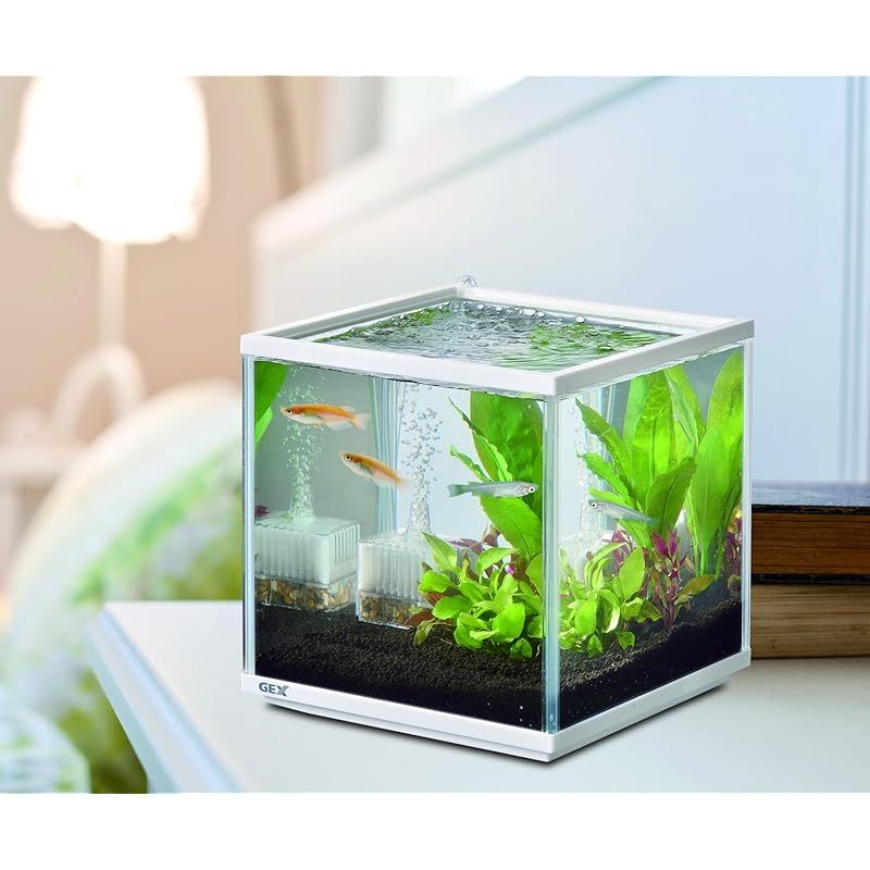 GEX 金魚元気 キューブセット 水槽サイズ:約W20×D20×H20cm 水