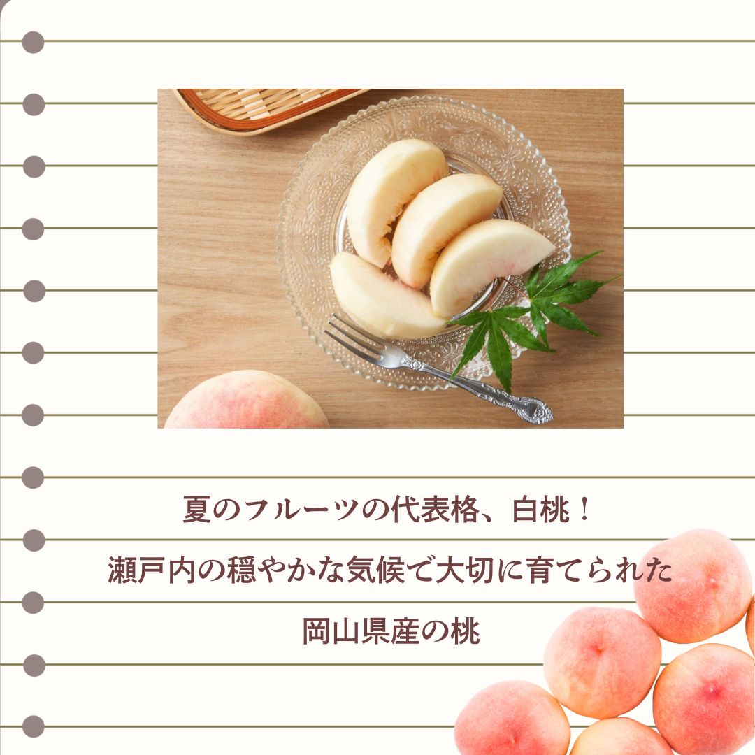出荷 白桃