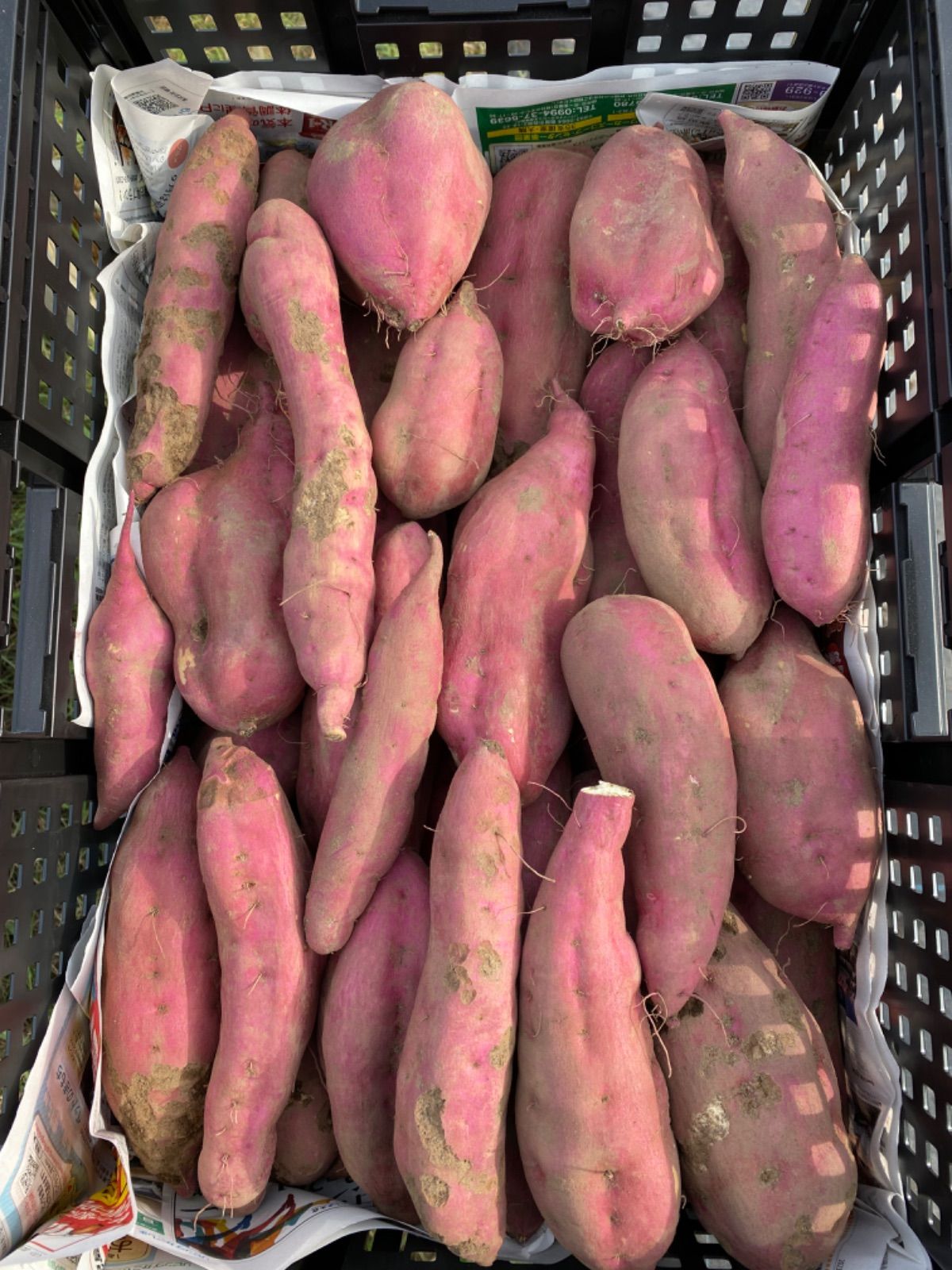 専用出品 - メルカリ