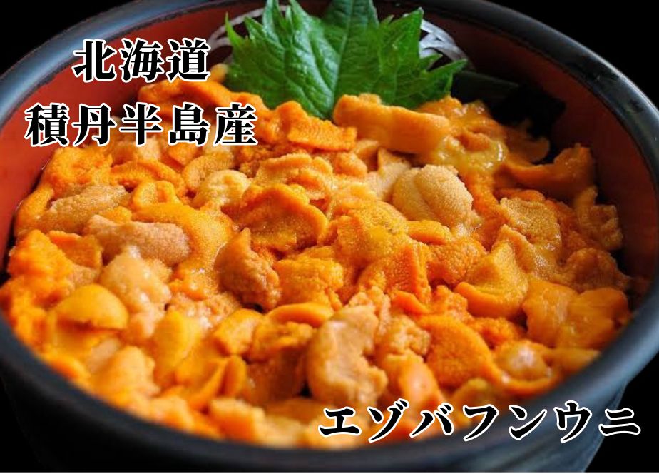 北海道 積丹半島産 塩水ウニ バフンウニ 赤ウニ 100g
