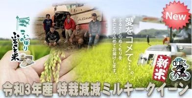 令和6年 化学肥料不使用 加須産 ミルキークイーン 玄米 1等 5kg 精米無料