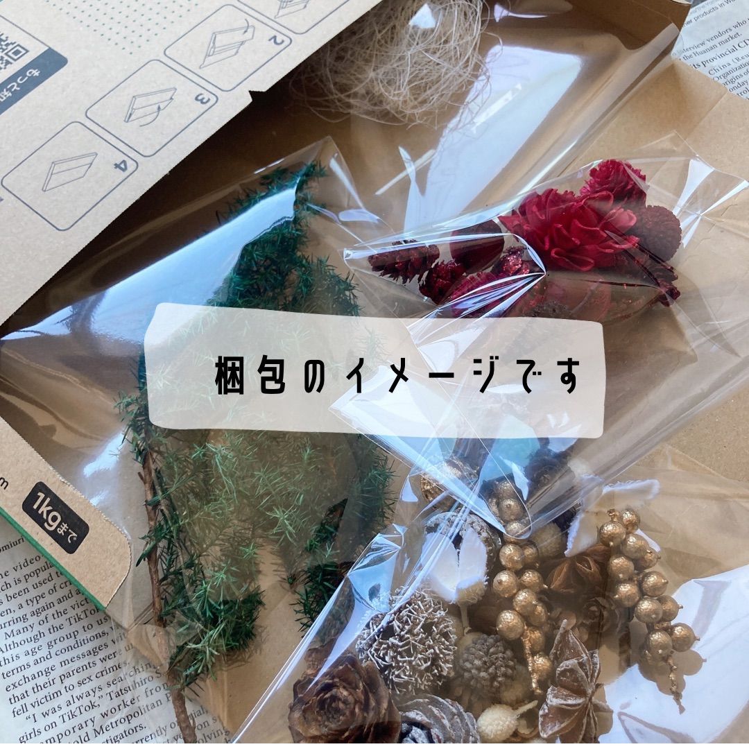 専用商品⚐ ⚑ SASUKE様専用 木の実パーツ詰め合わせセット