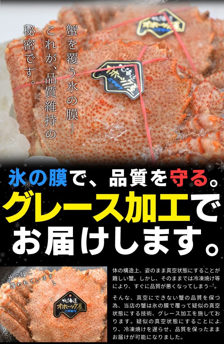 毛ガニ 姿 ボイル 2尾 約1kg（約500g×2杯） （通常梱包