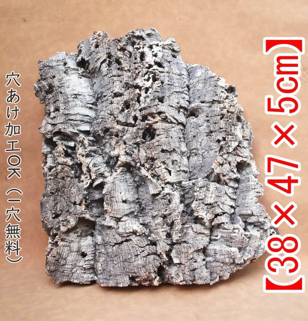 D588 ポルトガル産 厚め コルク樹皮 コルク板 バージンコルク 送料無料 チランジア ビカクシダ 着生ラン 両生類 爬虫類