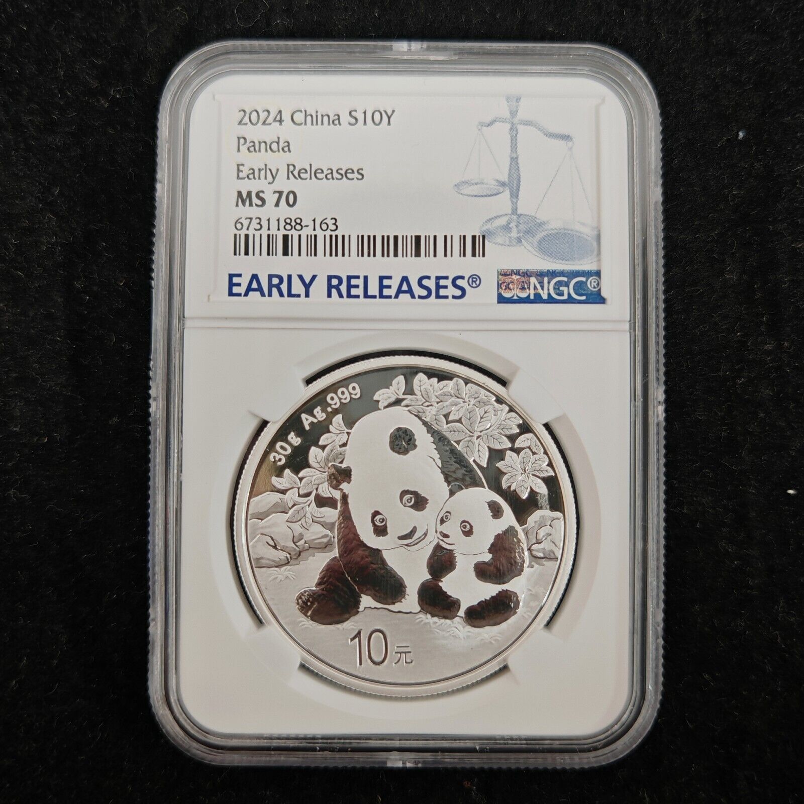 Early Releases - 2025 China 10 Yuan 30 g Panda Silver Coin NGC MS70