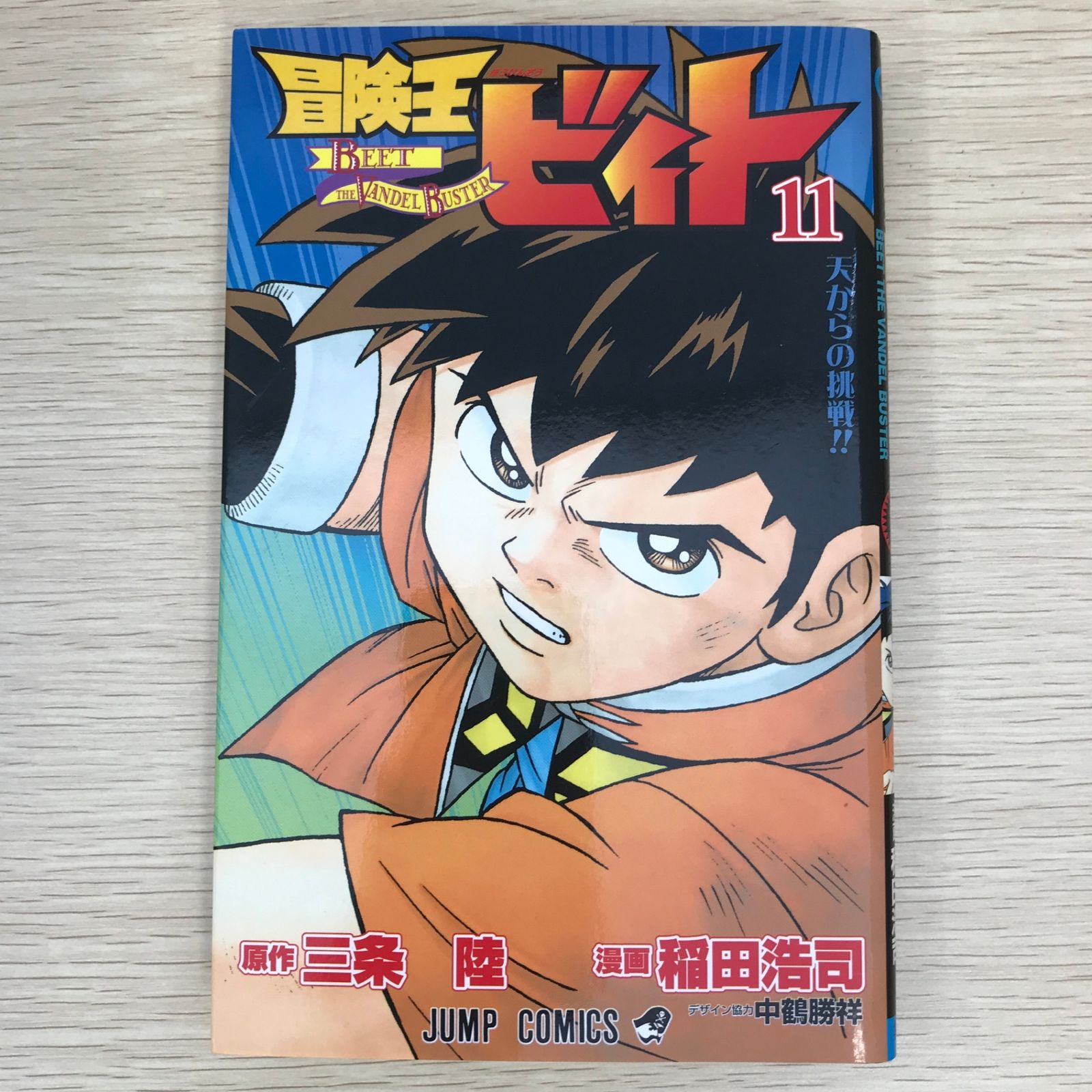 初版】冒険王ビィト 11巻/【作者】三条陸・稲田浩司/GF-0225010918-YP