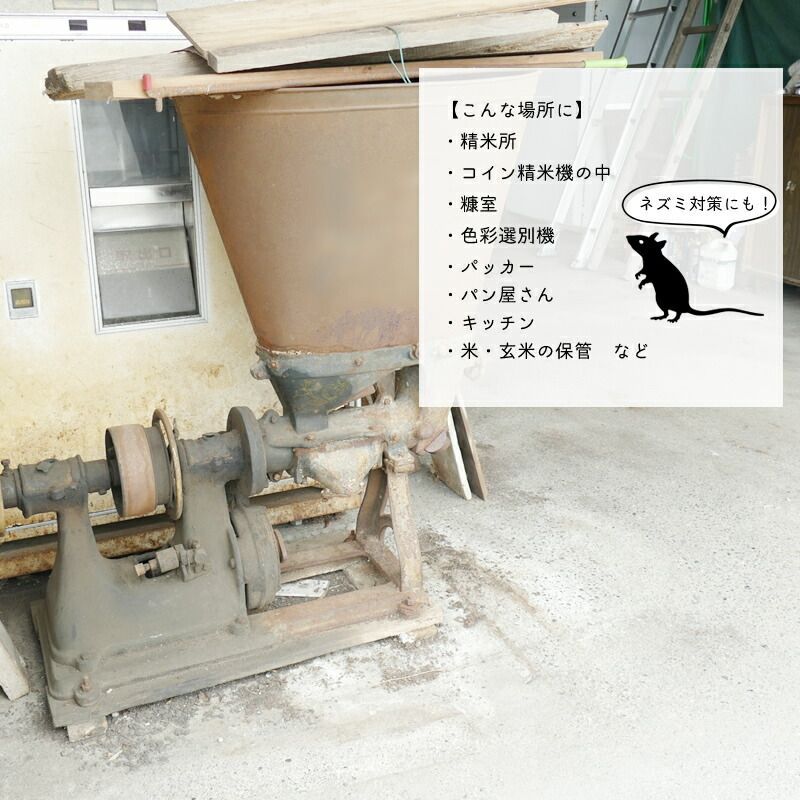 虫泥棒
