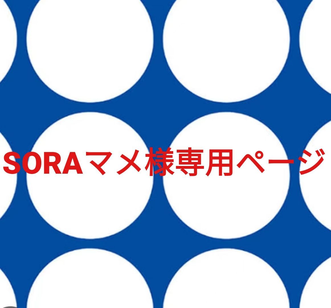 Sora様専用ページ sora様専用 【公式通販】