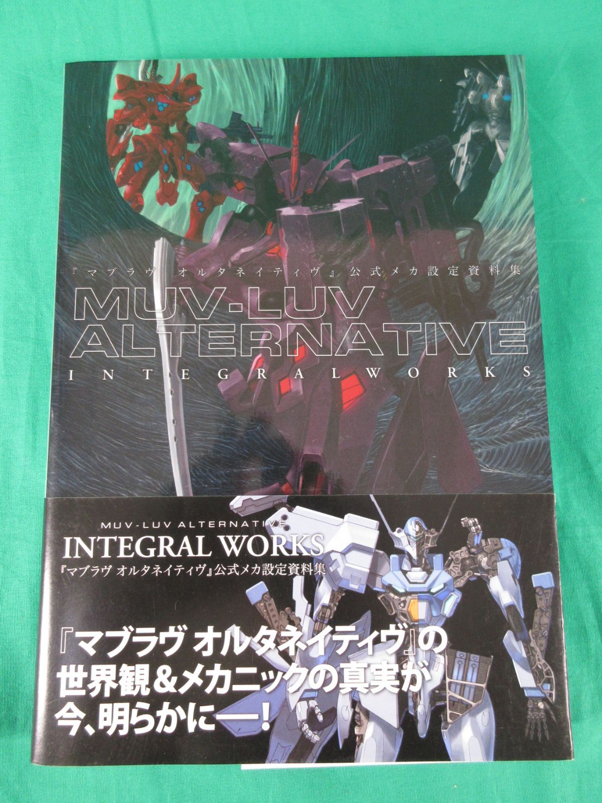 マブラヴ オルタネイティヴ公式メカ設定資料集 MUV-LUV ALTERNATIVE INTEGRAL WORKS【QW0042-005】 - メルカリ