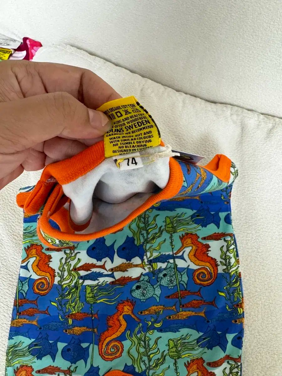 劣等生 今シーズン 海馬 デンドリル 74 80 着陸に失敗した商品