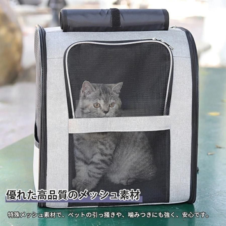 小型犬 中型犬
