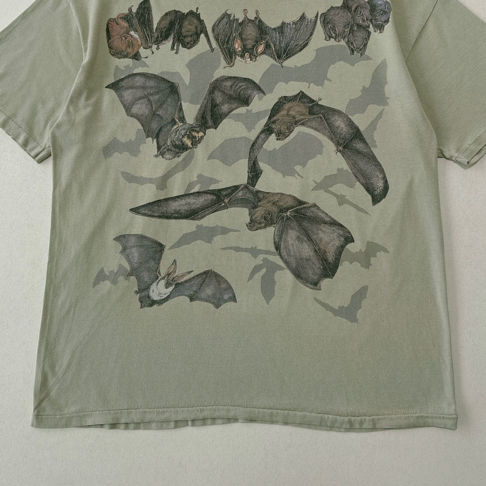 BATS