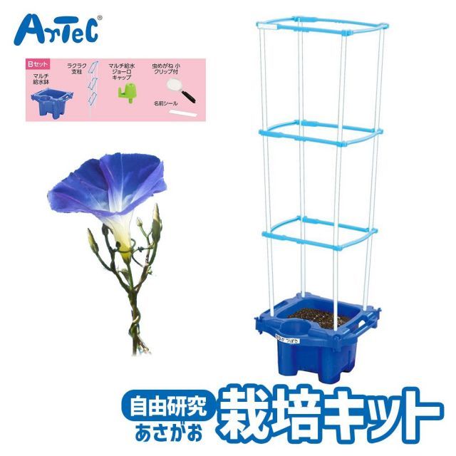 マルチラクラク あさがお 虫めがね付 Bセット 夏休み 自由研究 キット アーテック Artec 知育玩具 子供用 ユニセックス 男の子 女の子 理科  教材 植物 朝顔 栽培 観察 幼児 小学生 キッズグッズ - メルカリ