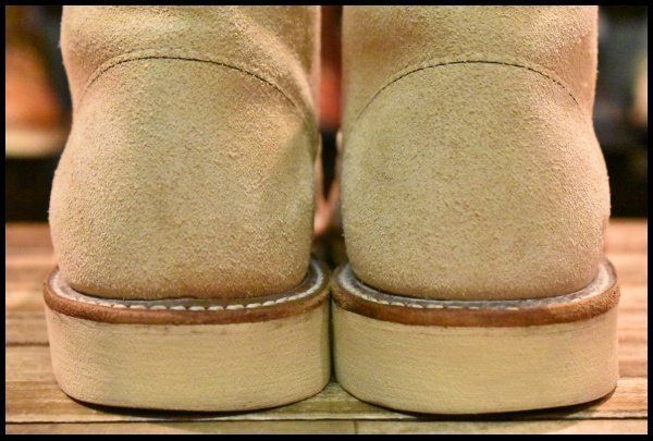 アイリッシュセッター ホーソーンアビレーン