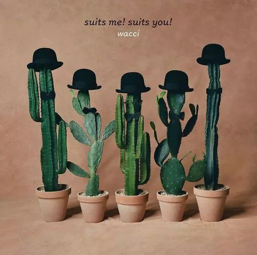 完全生産限定盤 wacci CD+BD suits me! suits you! Amazon.co.jp: suits me! suits you! (完全生産限定盤) - wacci