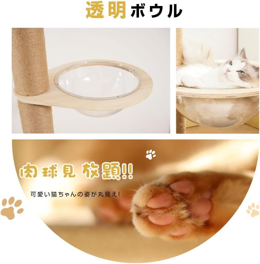 高さ255～265