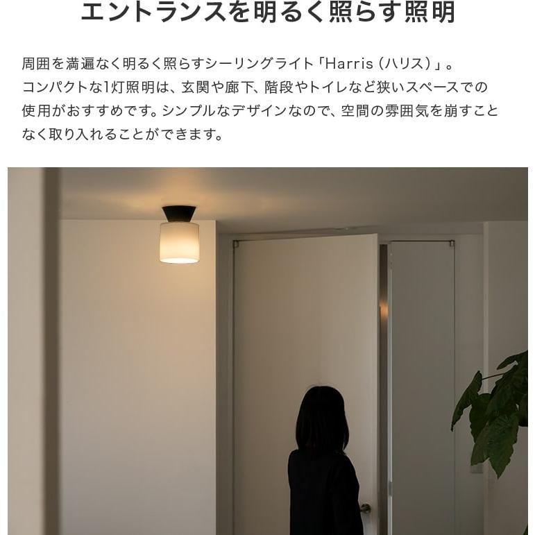 シーリングライト