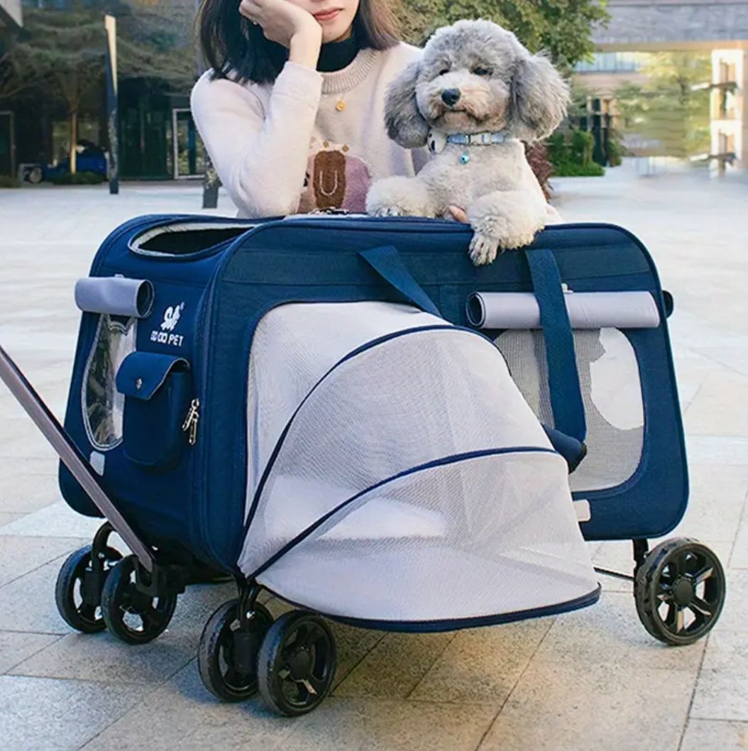 小型犬