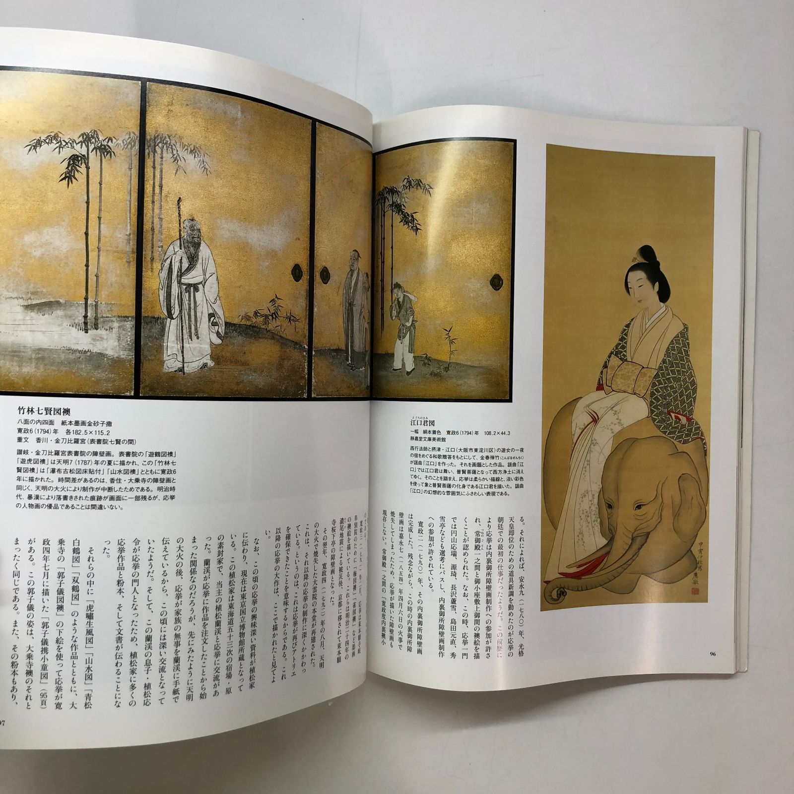 U-5-4582922058]円山応挙: 日本絵画の破壊と創造 (別冊太陽 日本