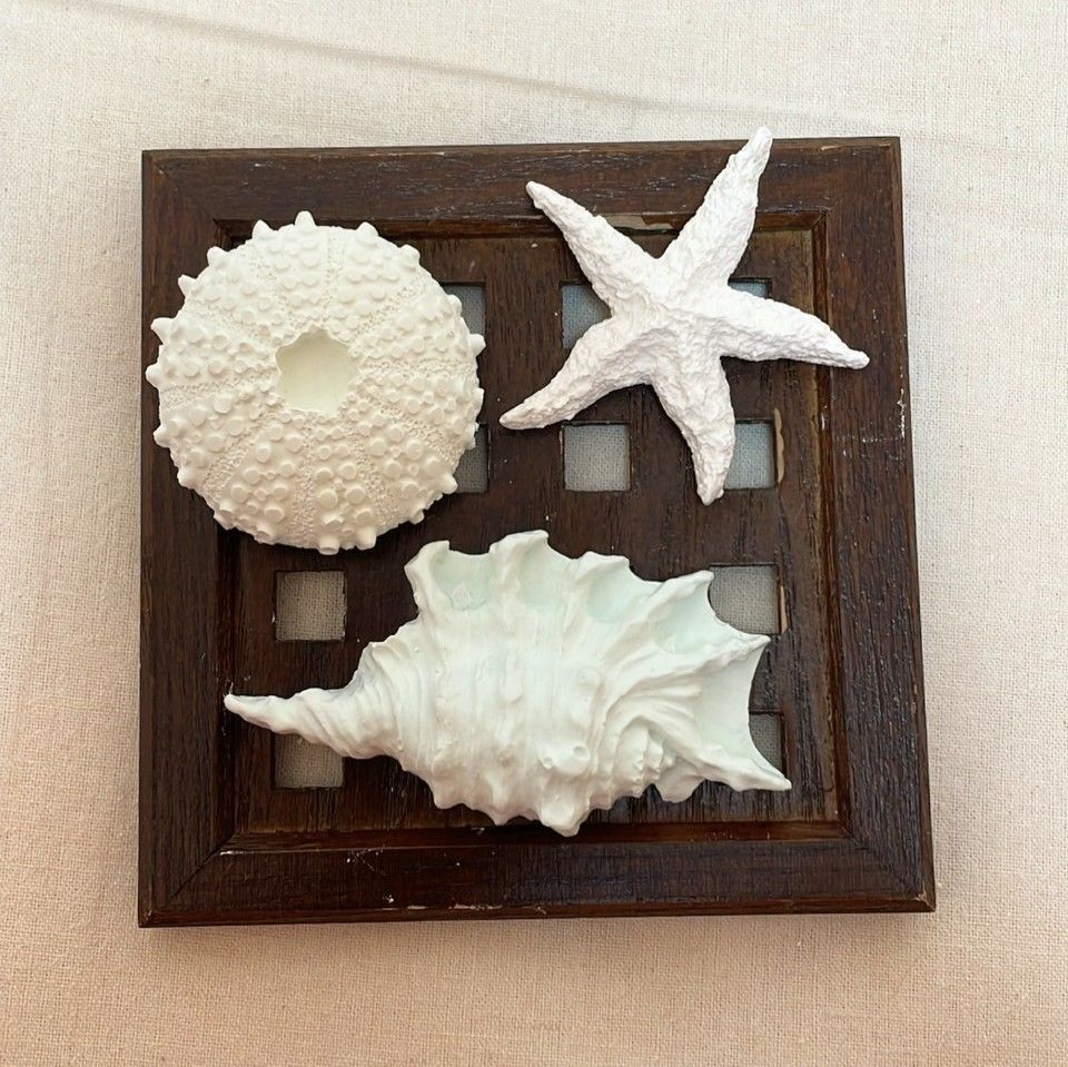 海のアロマストーン シェル&ヒトデ アロマストーン 海からの贈り物 海