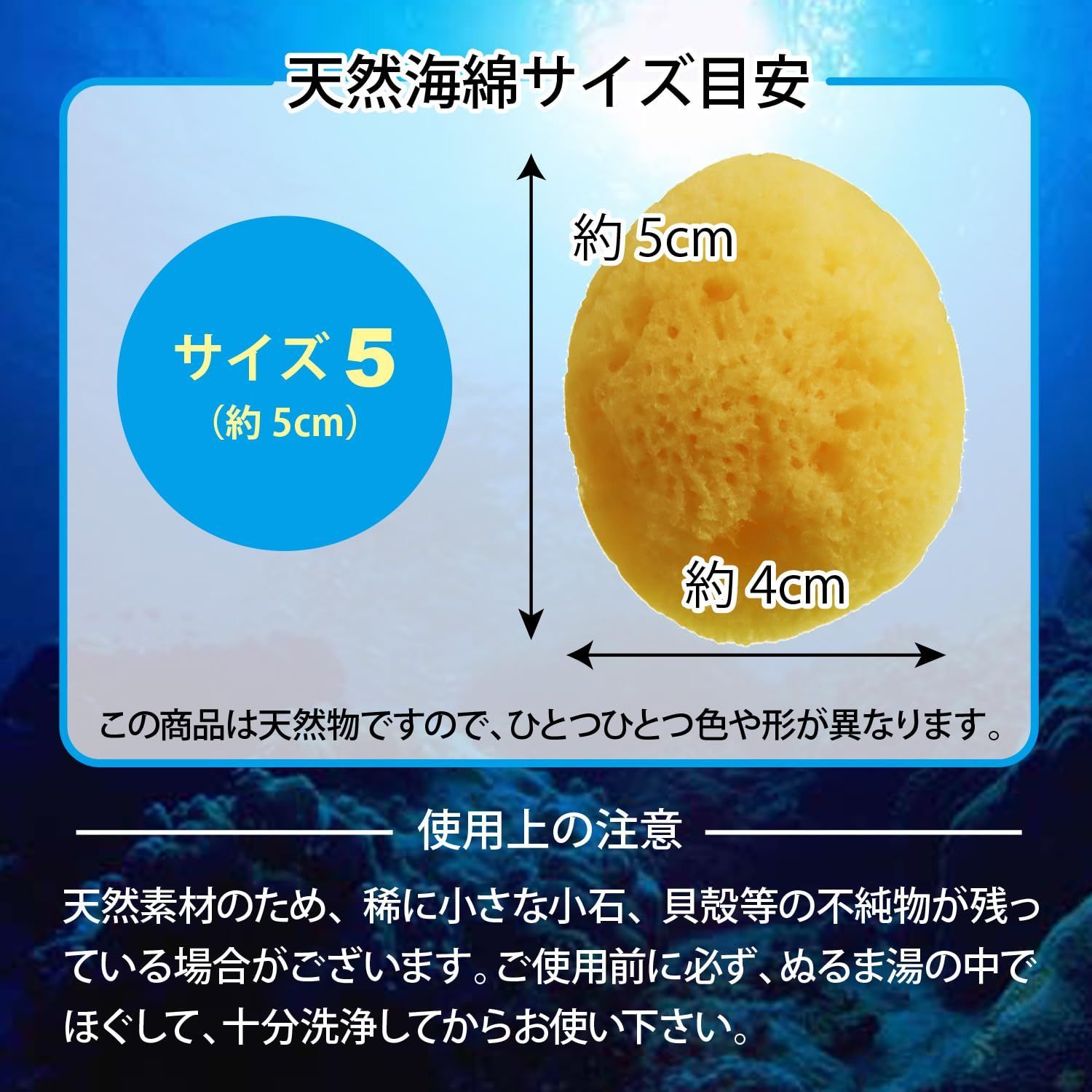 即日発送】海面 業務用海綿スポンジ 5個入り 約5cm サイズ5 天然海綿