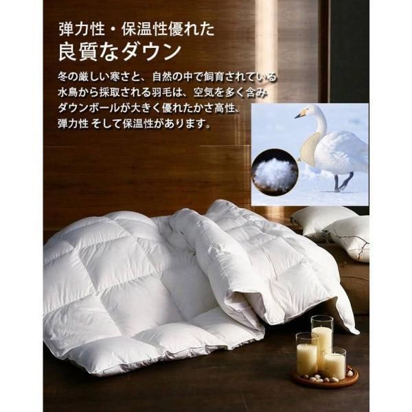 羽毛布団 掛け布団 ホワイトダックダウン95 冬布団 吸湿発熱 吸湿 発熱 通気性 柔らかい 軽い 羽毛ふとん シングル ロング