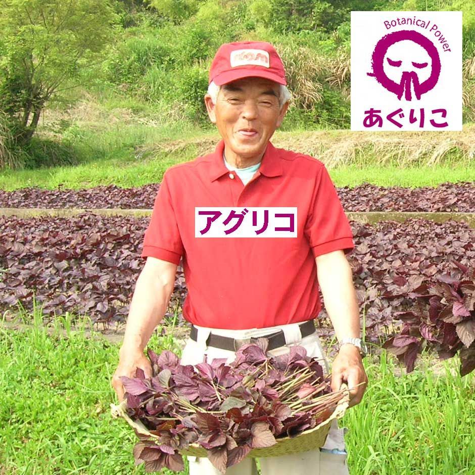 加糖