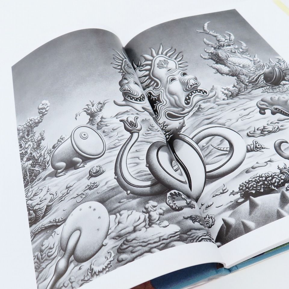ジム ウードリング 画集 Jim Woodring SEEING THINGS 845007 - メルカリ