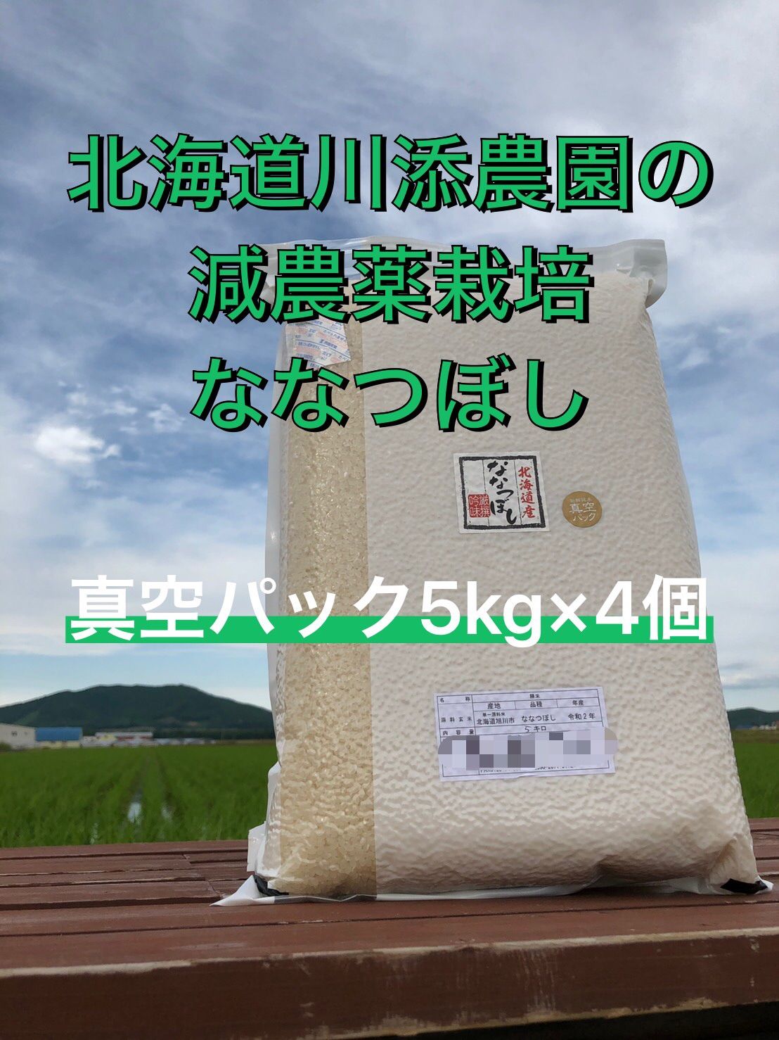 農薬節減米 ななつぼし真空パック 白米5kg 4個 農家直送 保存食にも