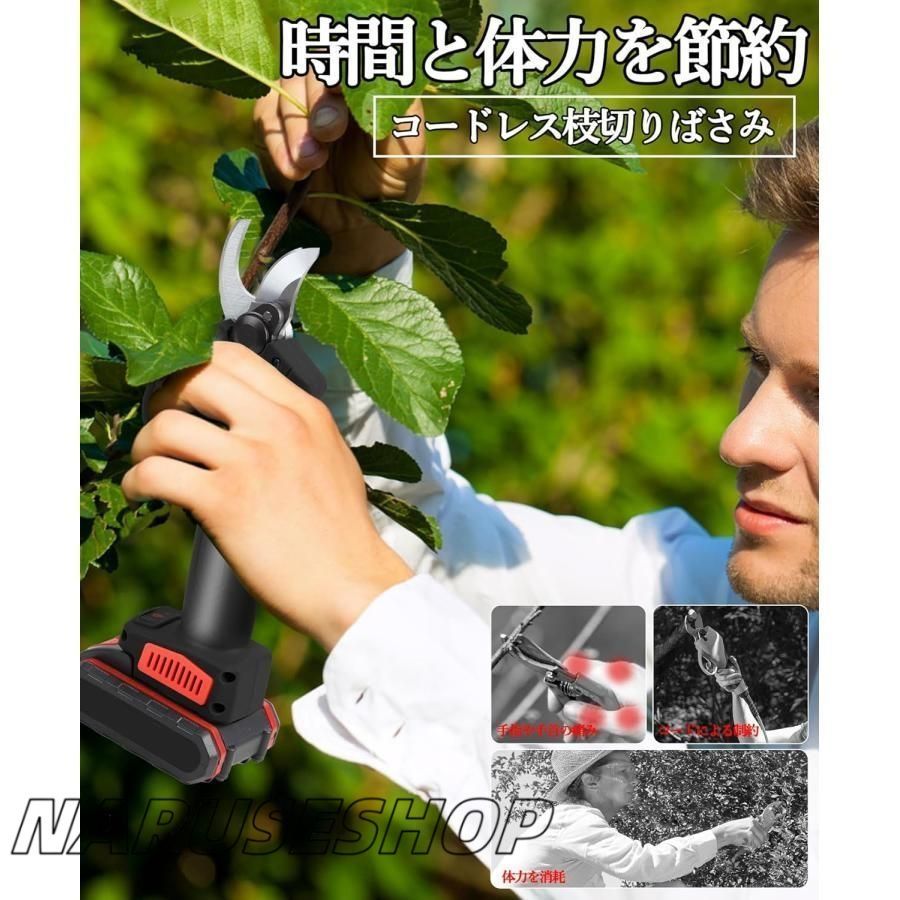 大好評 剪定バサミ