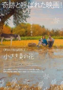 花魁少年 チョモランマの湧き水 CD インディーズ 山下達郎 – 僕の中の少年 | Releases | Discogs