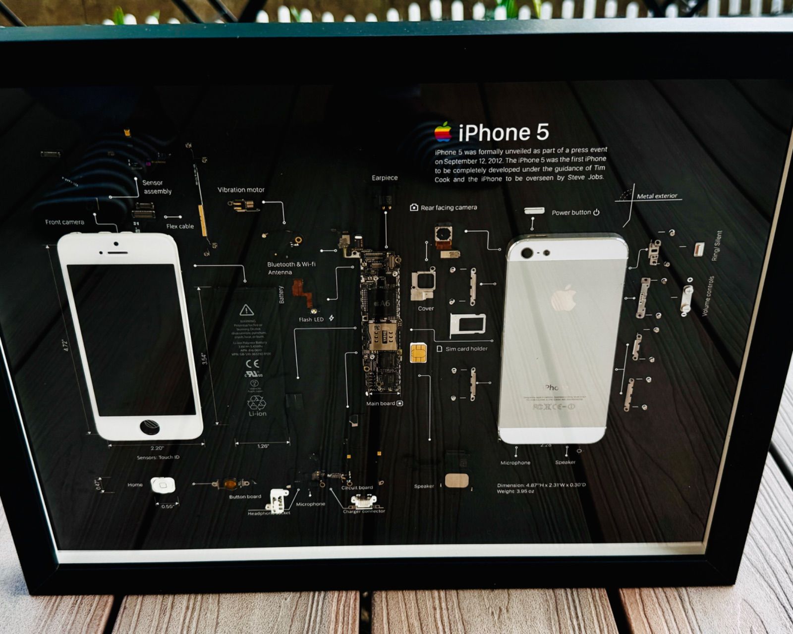 iPhone 5 White 標本アート ボックスフレーム - メルカリ