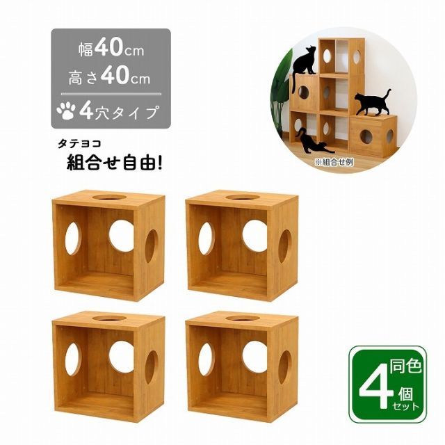 East of Edenメンバー直筆サイン入りクリアファイル 5枚セット East Of