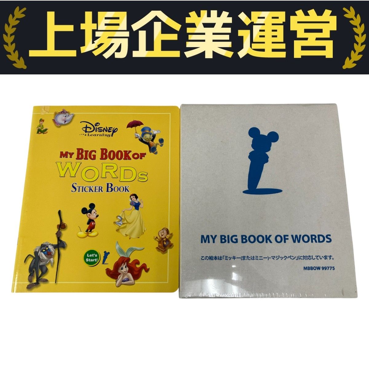 ディズニー英語システム MY BIG BOOK OF WORDS マジックペン マイ