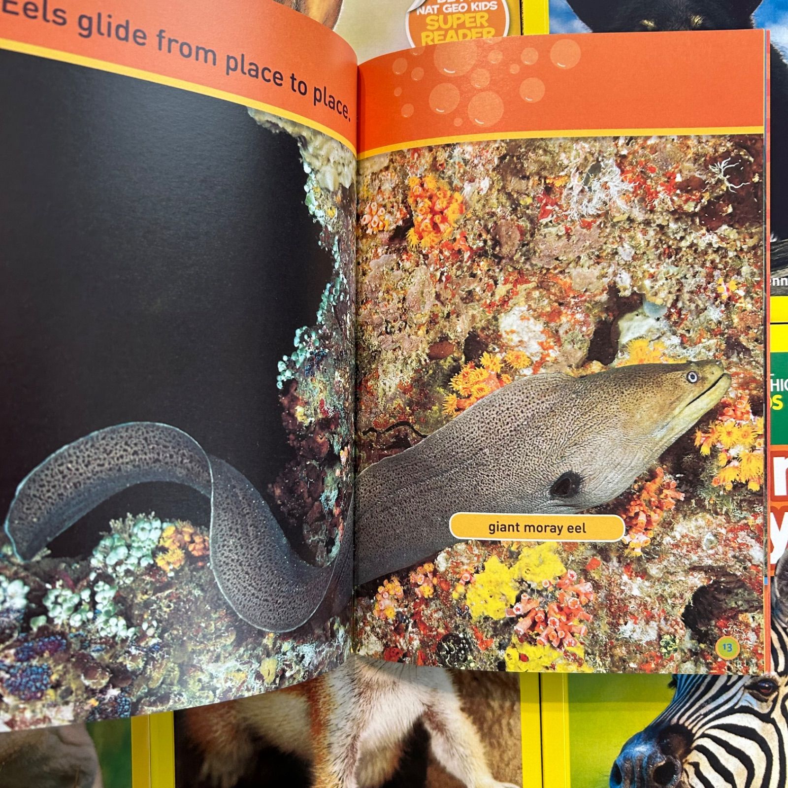 National Geographic Kids 155冊 マイヤペン対応 National Geographic Kids 155冊 マイヤペン対応 - メルカリ