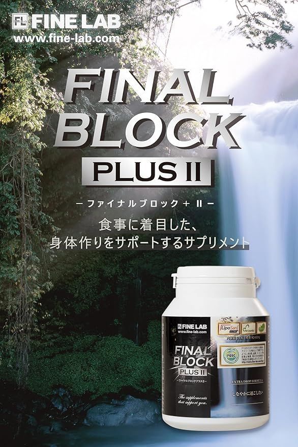 ファイナルブロックPlus