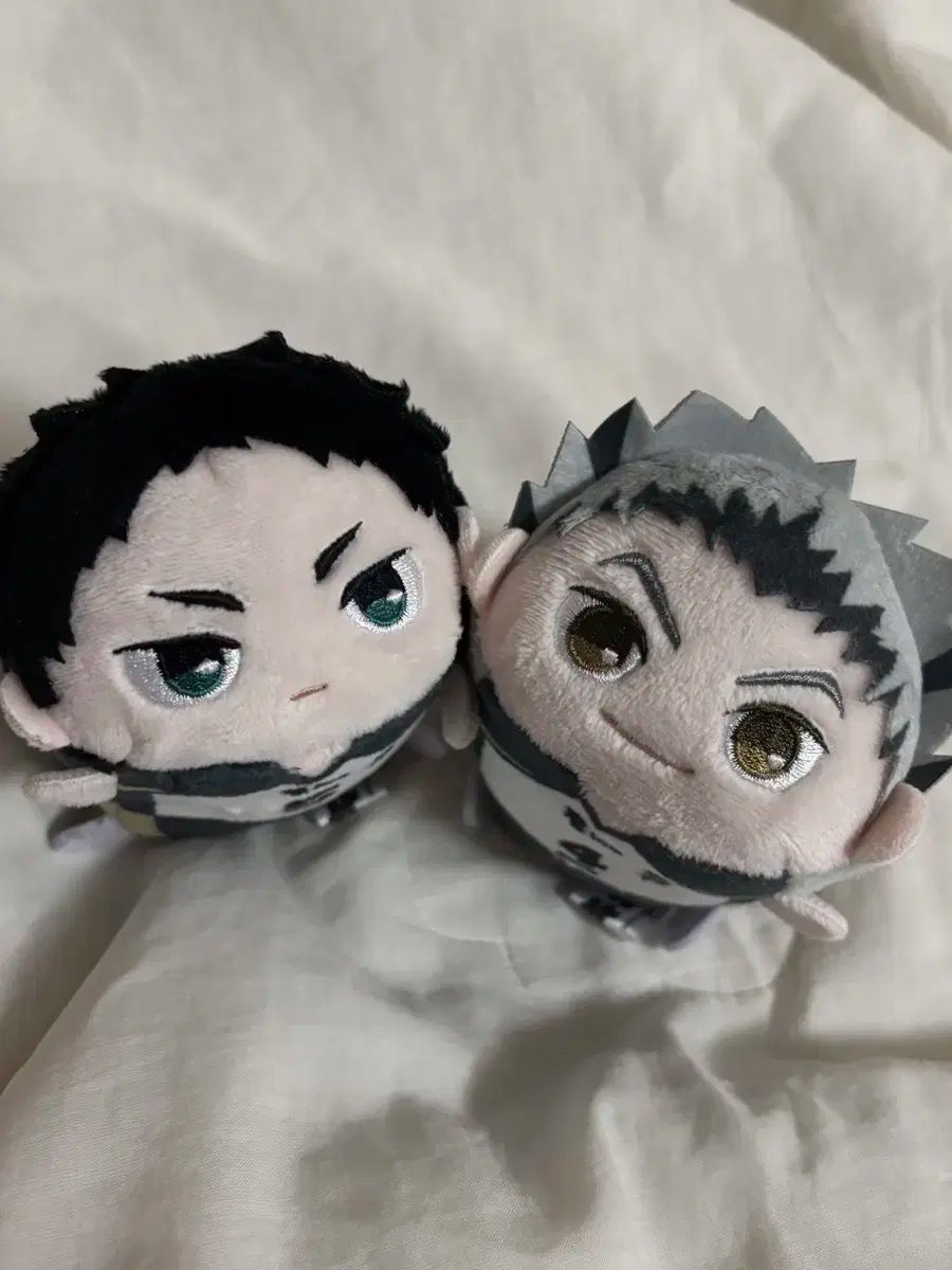 ハイキュー‼︎ 赤葦京治 もちマス ハイキュー もちマス もちもち