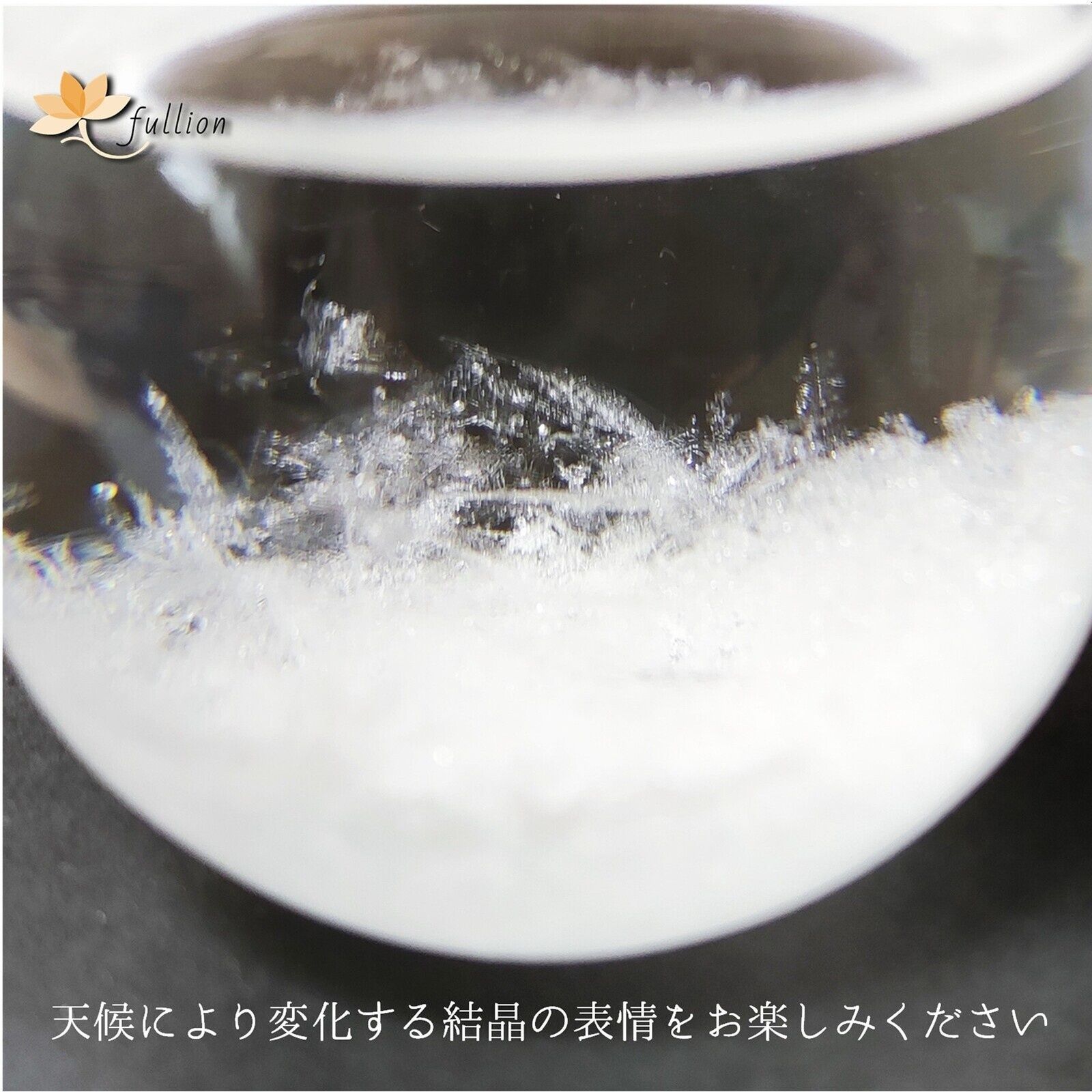 ストームグラス Aquro Crysta ボトルのみ 鳥B型 ボトルのみ Storm Glass ボトルのみ