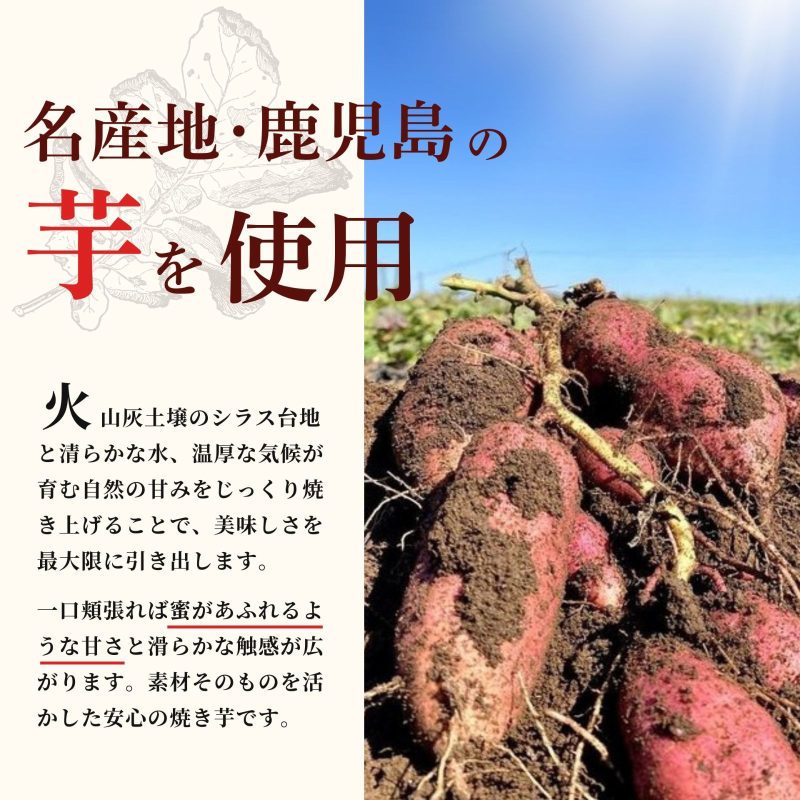 鹿児島県産 熟成 さつまいも 冷凍 焼き芋 2種【紅はるか/安納芋】1kg 無添加 蜜芋  さつまいも 干し芋 好きに 訳あり 美味しい 【冷凍】